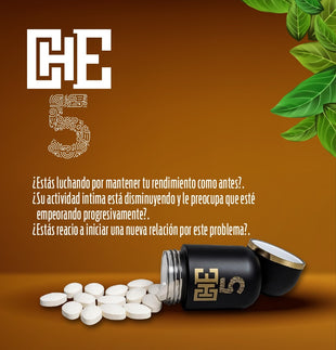 CHE 5 – BIOENERGY | 5 PASTILLAS